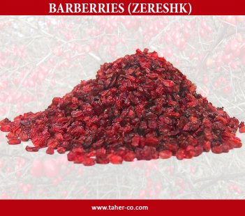 EVERYTHING ABOUT BARBERRIES