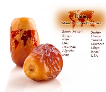 World Statistical Review of Dates