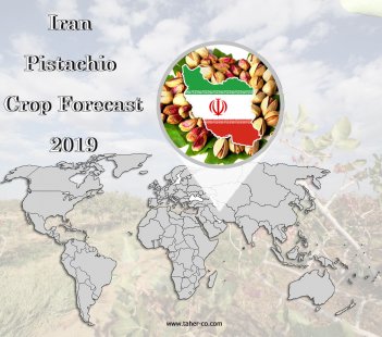 Iran Pistachio Crop Forecast -July 2019