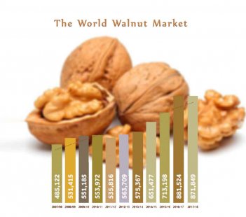 The Walnut Global Market in 2017/2018