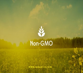 IRAN SAYS NO TO GMO